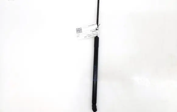 Tailgate strut