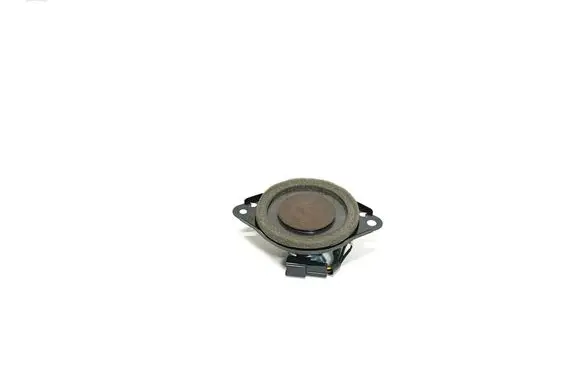 Lexus GS 250 350 300H 450H Panel speaker 861600WV80 10714J0802