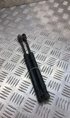 Volvo S60 Tailgate/trunk strut/damper 30716057