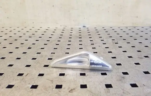 BMW X5 E70 Front fender indicator light 7171007
