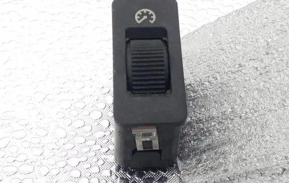 Panel lighting control switch