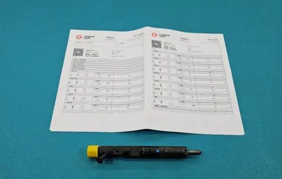 Renault Megane II Fuel injector EJBR04101D IMPRK1439350