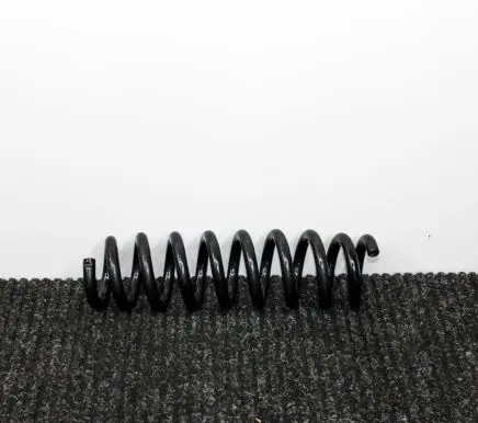 BMW X1 E84 Rear coil spring