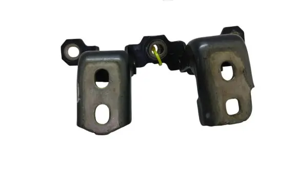 Renault Laguna III Rear door hinge set 