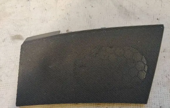 Side speaker trim/cover