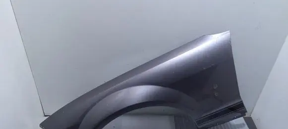 Ford Mustang V Fender