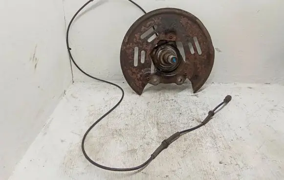 Renault Kangoo II Rear wheel hub spindle/knuckle 