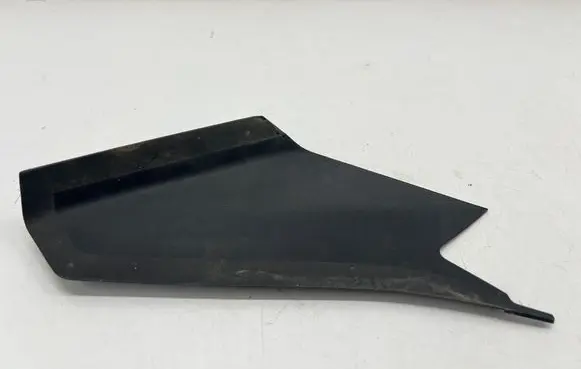 Rear/tail light trim molding