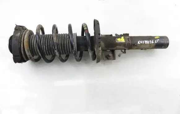Skoda Roomster (5J) Front shock absorber with coil spring 