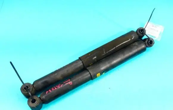Nissan Atleon Rear shock absorber/damper V1198 IMPRK1249331