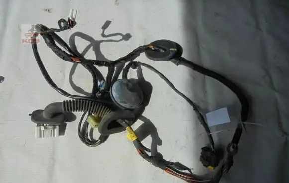 Rear door wiring loom