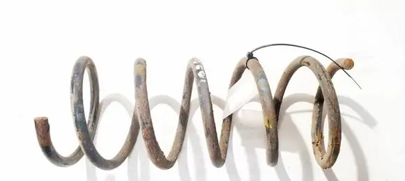 Rear coil spring