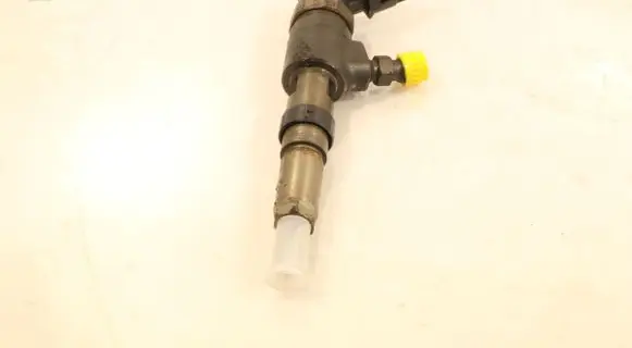 Citroen C3 Fuel injector 0445110252