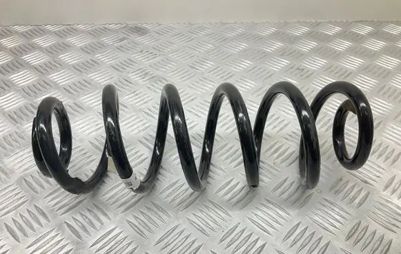 Rear coil spring