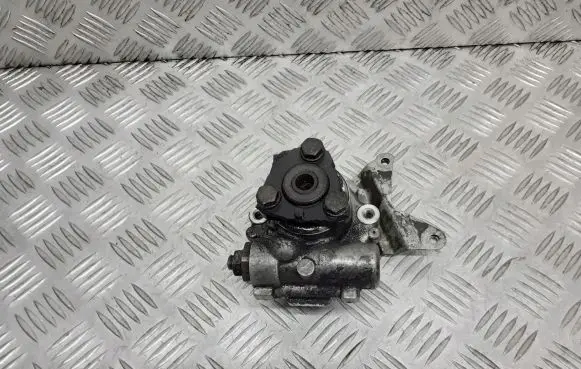 BMW 5 E39 Power steering pump 7691974518