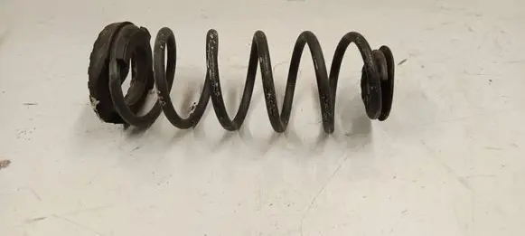 Rear coil spring