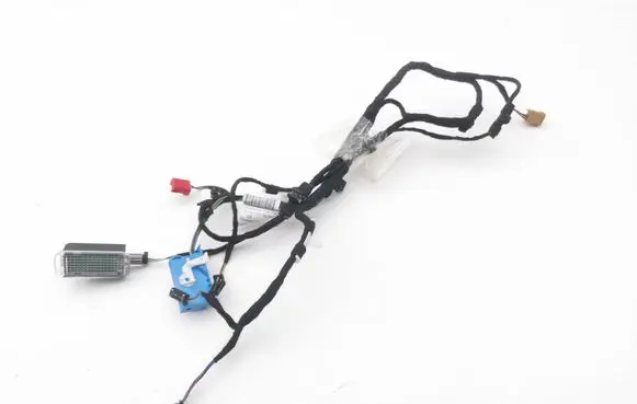 Front door wiring loom