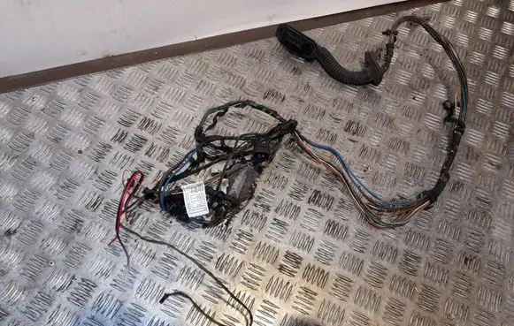 BMW X6 E71 Rear door wiring loom 9207862