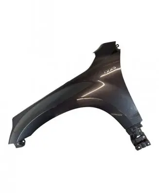 Suzuki Grand Vitara II Fender