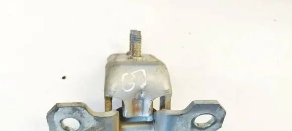 Renault Laguna II Rear door lower hinge 