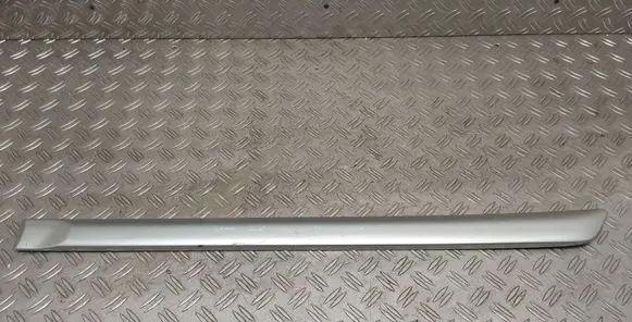 Toyota Corolla E120 E130 Rear door trim (molding) 