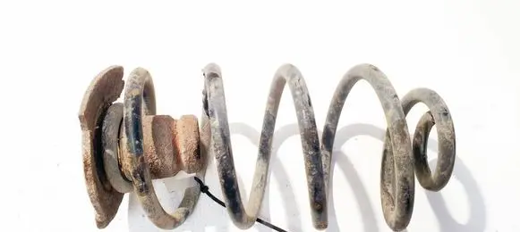 Rear coil spring