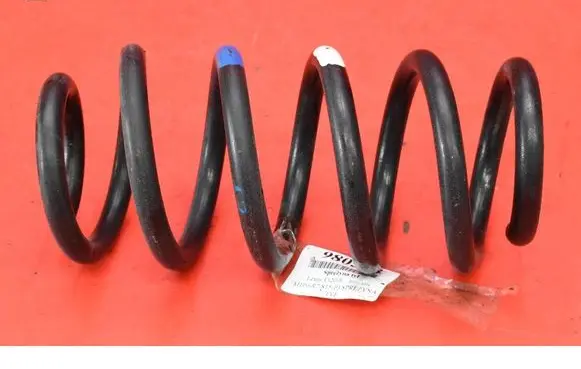 Rear coil spring