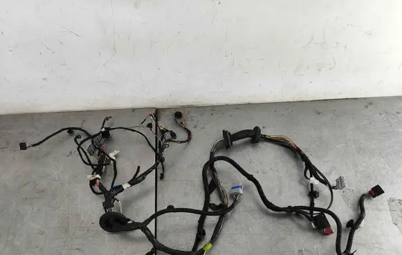 Tesla Model S Front door wiring loom 100442401U