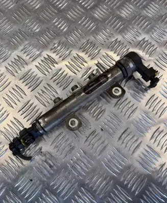 Ligier JS 50 Fuel injection (other) 0445212001