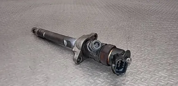 Citroen C3 Picasso Fuel injector 0445110297