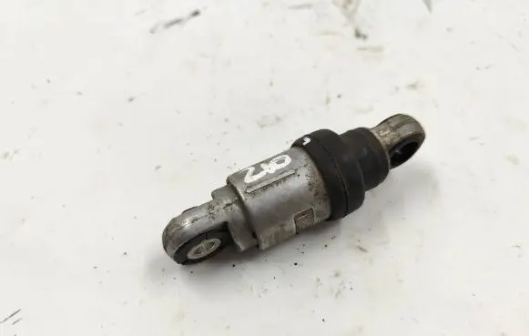 BMW 3 E36 Alternator belt tensioner F821512