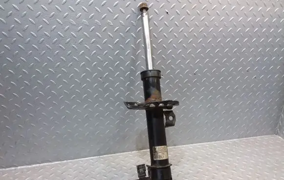 Opel Zafira B Front shock absorber/damper 22214600 24466541 644609745
