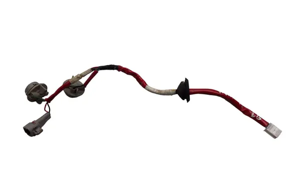 Tail light bulb cover holder