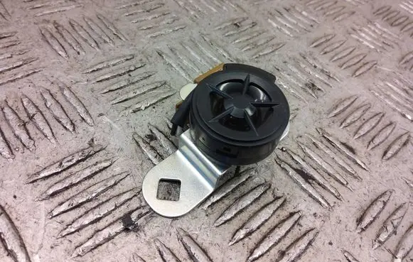 Nissan Juke I F15 Front door high frequency speaker 281E11KA0A
