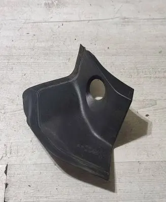 Rear/tail light trim molding
