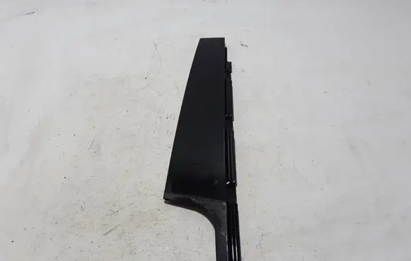 Other front door trim element