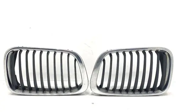BMW 3 E46 Front grill 8159624