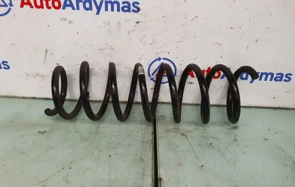 Rear coil spring
