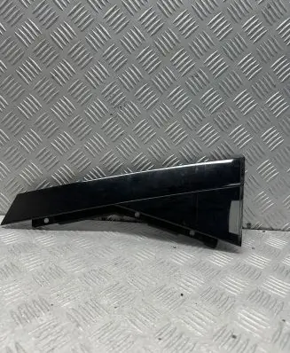 Other rear door trim element