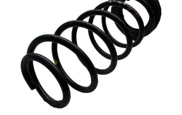 Hyundai i20 (PB PBT) Rear coil spring