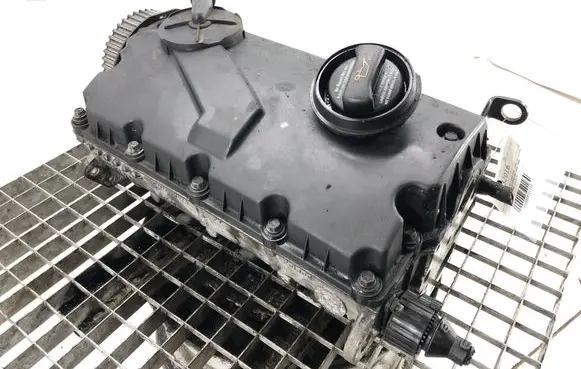Volkswagen PASSAT B5.5 Engine head BGW