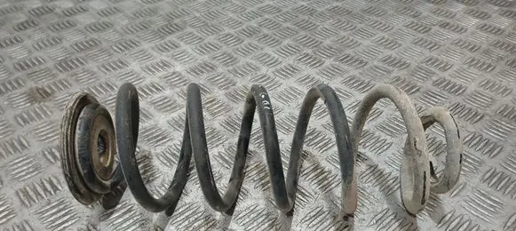 Volkswagen Golf V Rear coil spring 