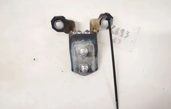 Renault Laguna II Rear door lower hinge