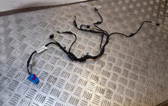 Audi A8 S8 D4 4H Front door wiring loom 4H0971036E
