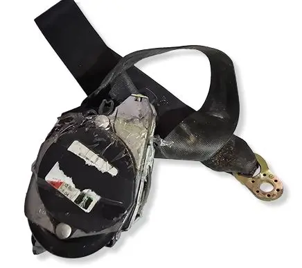 Volkswagen PASSAT B5.5 Front seatbelt 56108000
