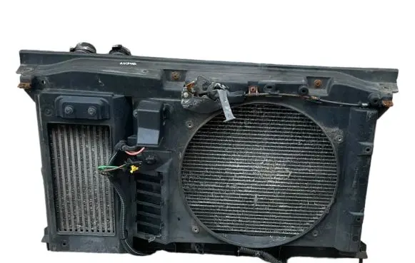 Citroen C4 II Radiator support slam panel P1858824116 9650316080