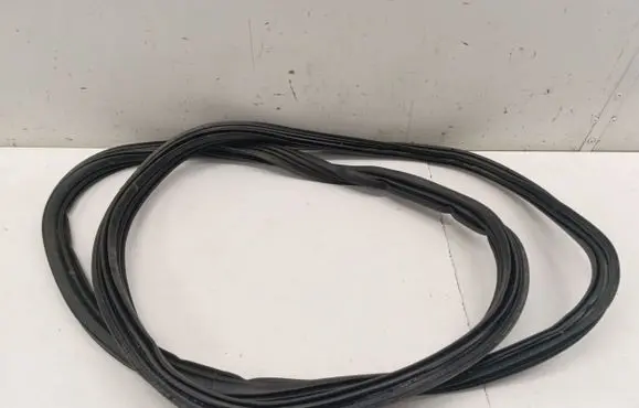 Ford Mustang Mach-E Trunk rubber seal (body) 