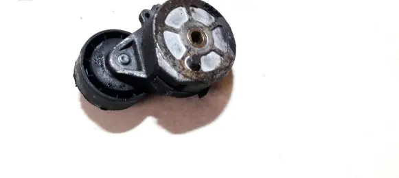 Citroen Jumpy Generator/alternator belt tensioner