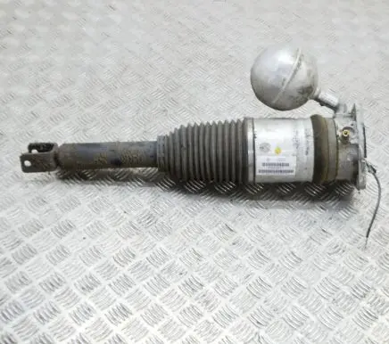 Volkswagen Phaeton Rear shock absorber/damper 3D0616001H
