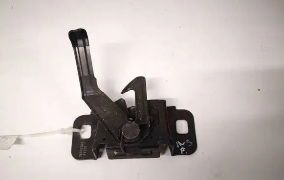 Opel Insignia A Engine bonnet/hood lock/catch 20938344 16242